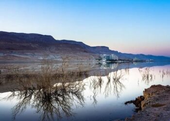 New Zealand Visitor Visa Process for Israeli Citizens