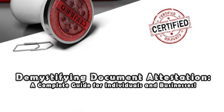 Demystifying Indian Visa Photo Requirements A Comprehensive Guide