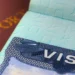 Your Essential Guide to Securing a New Zealand Visa for Cypriot Citizens