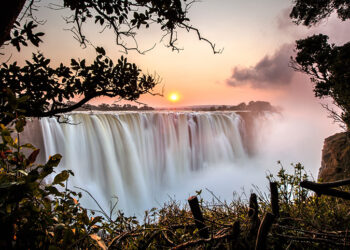 A Guide to Obtaining an Indian Visa for Citizens of Zimbabwe