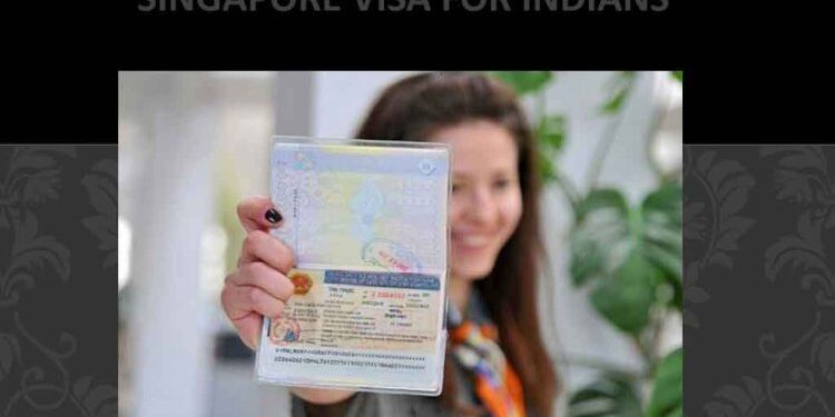 Navigating Indian Visa Requirements for Cruise Travelers A Comprehensive Guide