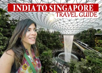 Unlocking India A Comprehensive Guide to Visa for Singaporean Citizens