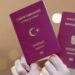 Turkey Visa for Fiji Citizens  A Comprehensive Guide