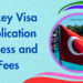 Navigating the Turkey Visa Application Process  A Comprehensive Guide