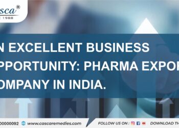 An excellent business opportunity: pharma export company in India