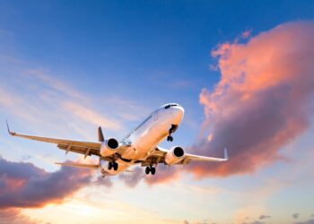 eTA with a Criminal Record and Advance CBSA Declarations