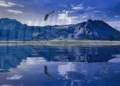 New Zealand Visa Application and Requirements