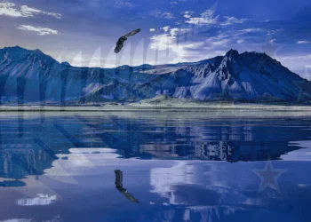 New Zealand Visa Application and Requirements