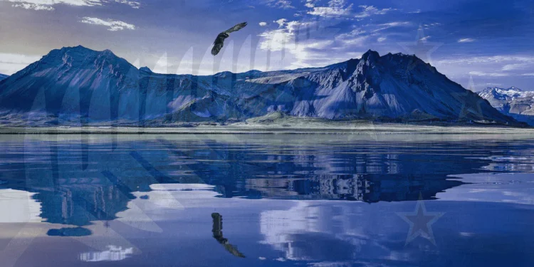 New Zealand Visa Application and Requirements