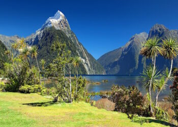 New Zealand Visas with Dual Citizenship and Passport Transfers