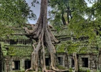 Cambodia Visa  and French Citizens