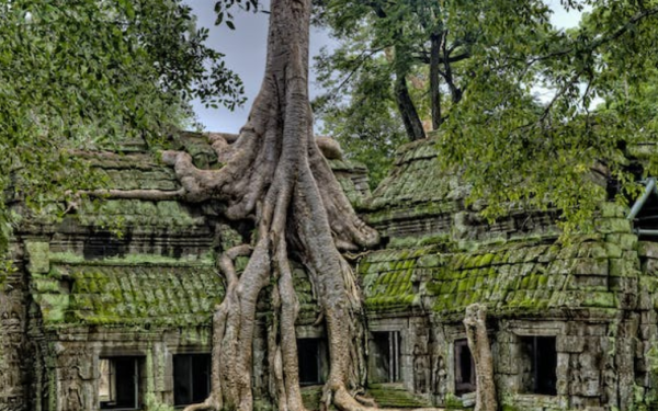 Cambodia Visa  and French Citizens