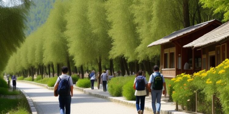 Turkey Visa Online Application Process