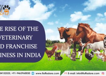 Fluff Adore: Your Pathway to Veterinary Success