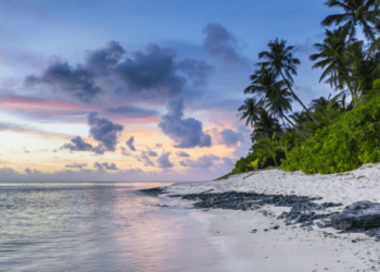 Indian Visa for Guinea and Eritrean Citizens