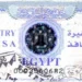 How to Apply for an Egypt Visa for Children