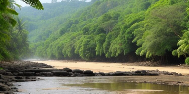 How to Determine Your Sri Lanka Visa Eligibility