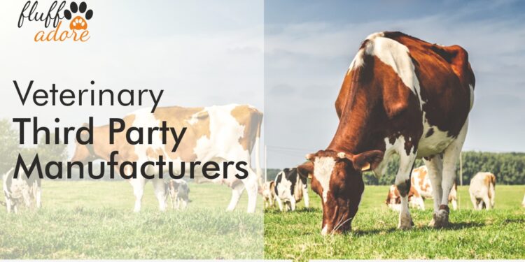 Top Veterinary Injections Manufacturers in India