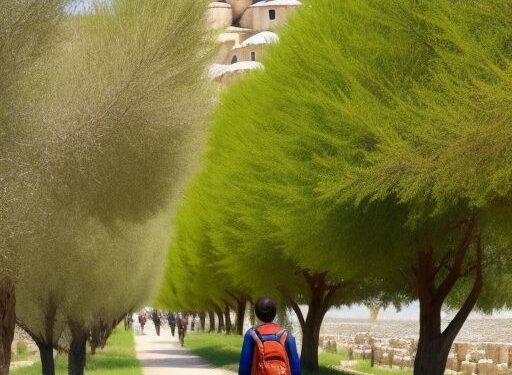 Guide to the Turkey eVisa and Emergency Visa