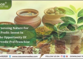 invest in the opportunity of Ayurvedic PCD franchise