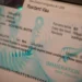 NEW ZEALAND VISA FOR ARGENTINA AND BRAZILIAN CITIZENS