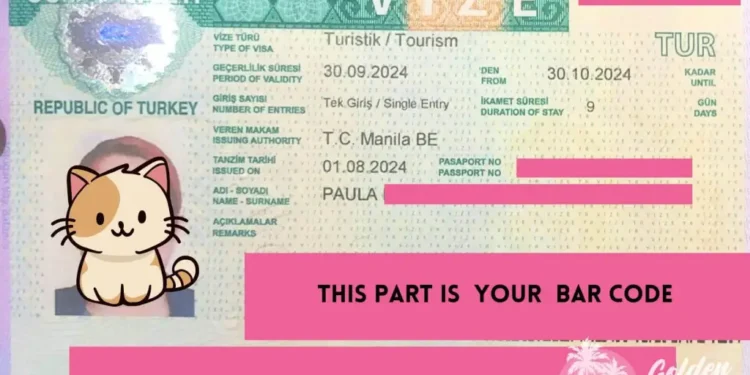 Is Your Passport Eligible for a Turkey Visa Use the Eligibility Checker