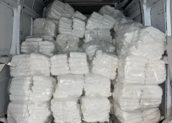 Making Laundry Simple: How Easy Kleen Laundry Helps Seniors in Tampa Bay