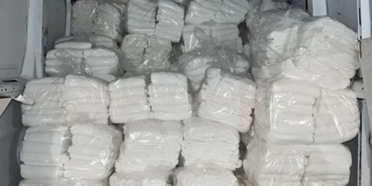 Making Laundry Simple: How Easy Kleen Laundry Helps Seniors in Tampa Bay