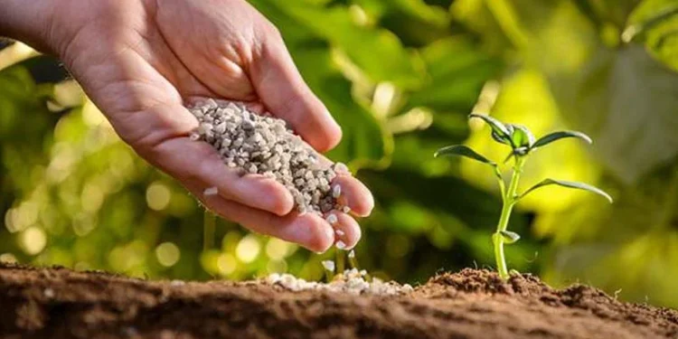 What are the Benefits of Using Chelated Micronutrient Fertilizers in Farming?