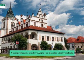 How to Apply for an Indian Working Visa as a Slovak Citizen