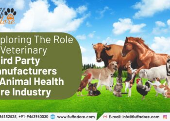 Veterinary Third Party Manufacturers for Veterinary Startup: Why it’s a Game Changer