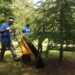 Seasonal Tree Care and Landscaping Tips for a Thriving Yard