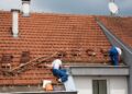 Why Re-Roofing and Roof Restoration Are Both Essential for Long-Term Roof Health
