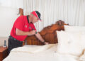 Working with Bed Bug Barrier’s DIY Bed Bug Treatment