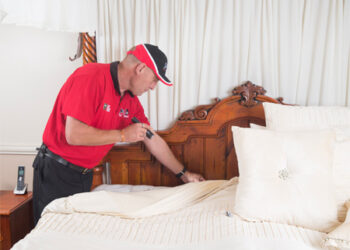 Working with Bed Bug Barrier’s DIY Bed Bug Treatment