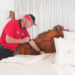Working with Bed Bug Barrier’s DIY Bed Bug Treatment